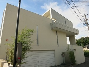 IMG_6361.jpg