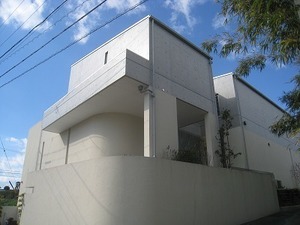 IMG_9006.jpg